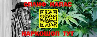 a pvp Новодвинск