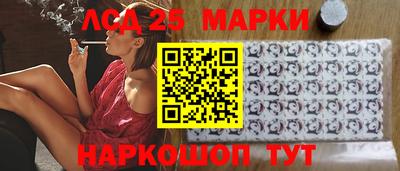 a pvp Новодвинск