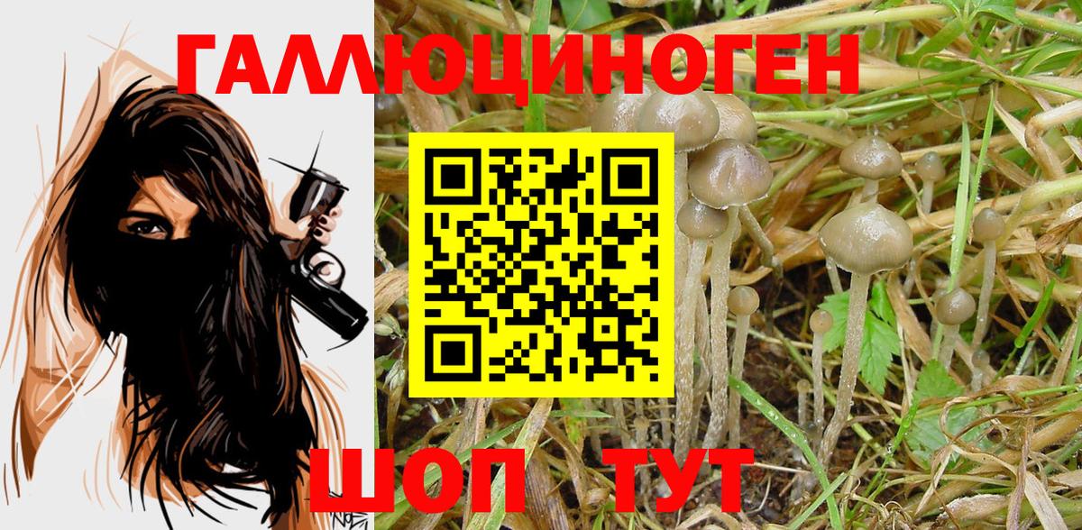 Галлюциногенные грибы MAGIC MUSHROOMS  Вход с VPN  Тимашёвск 